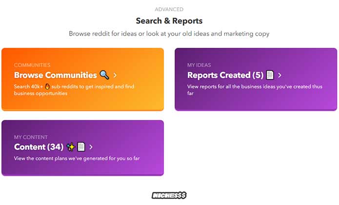 nichesss search and reports